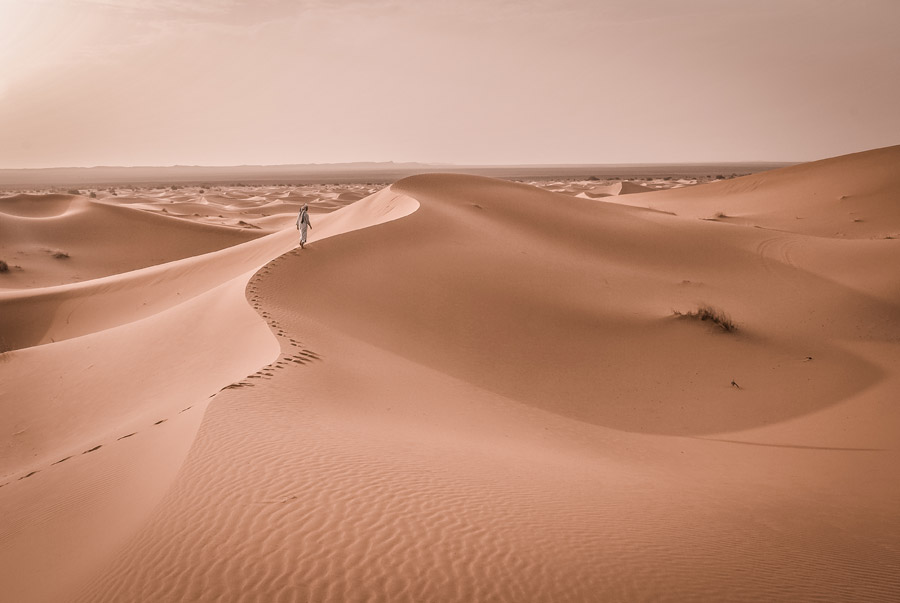 砂漠で飲み水を探せ 砂漠で飲み水を確保する方法を紹介 サバイバル考察ブログ